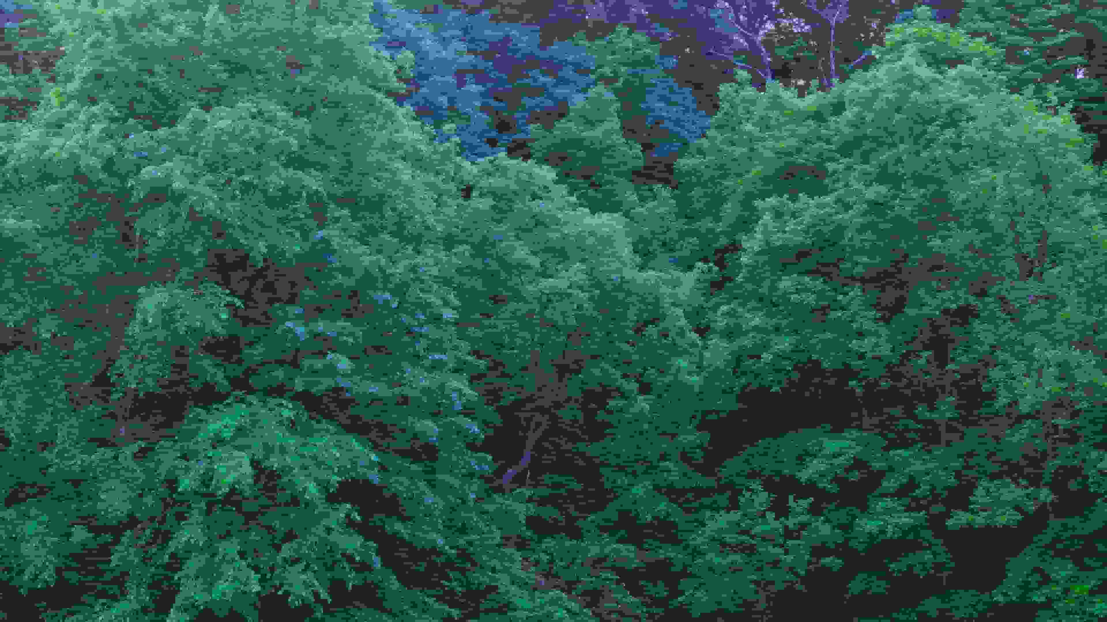 Schenley Park